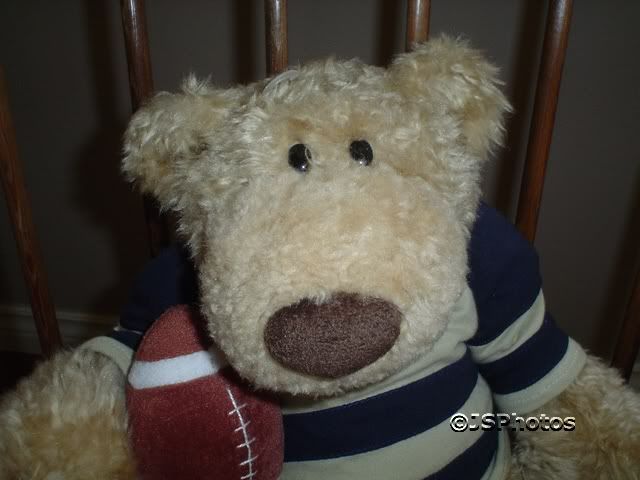 gund clancy bear